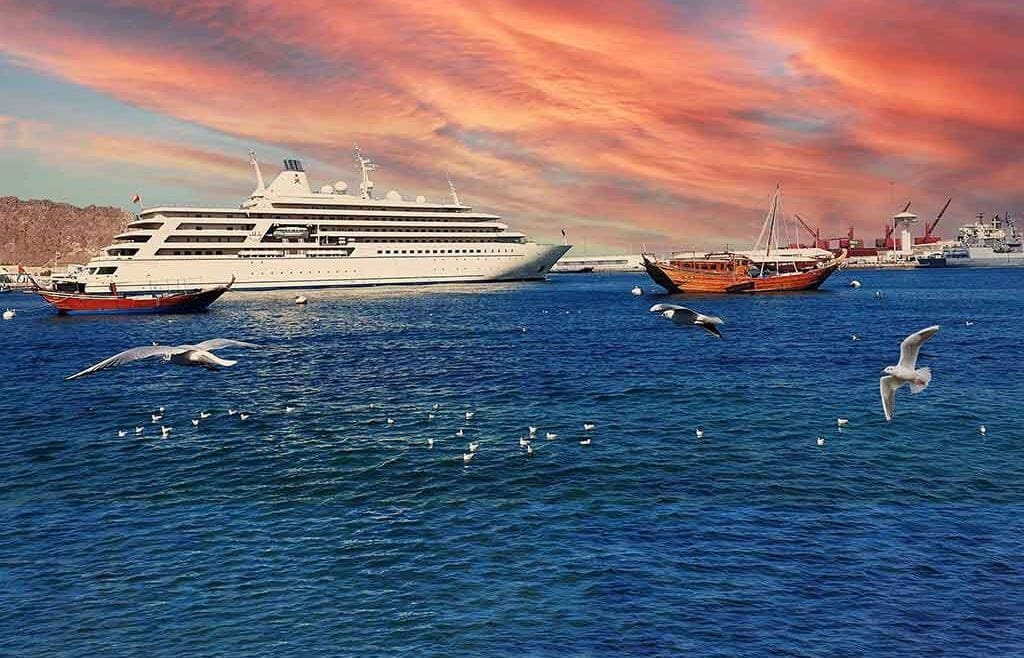 Migratory Seagulls at Muttrah Corniche: Oman's Winter Avian Spectacle