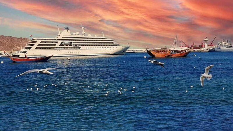 Migratory Seagulls at Muttrah Corniche: Oman's Winter Avian Spectacle