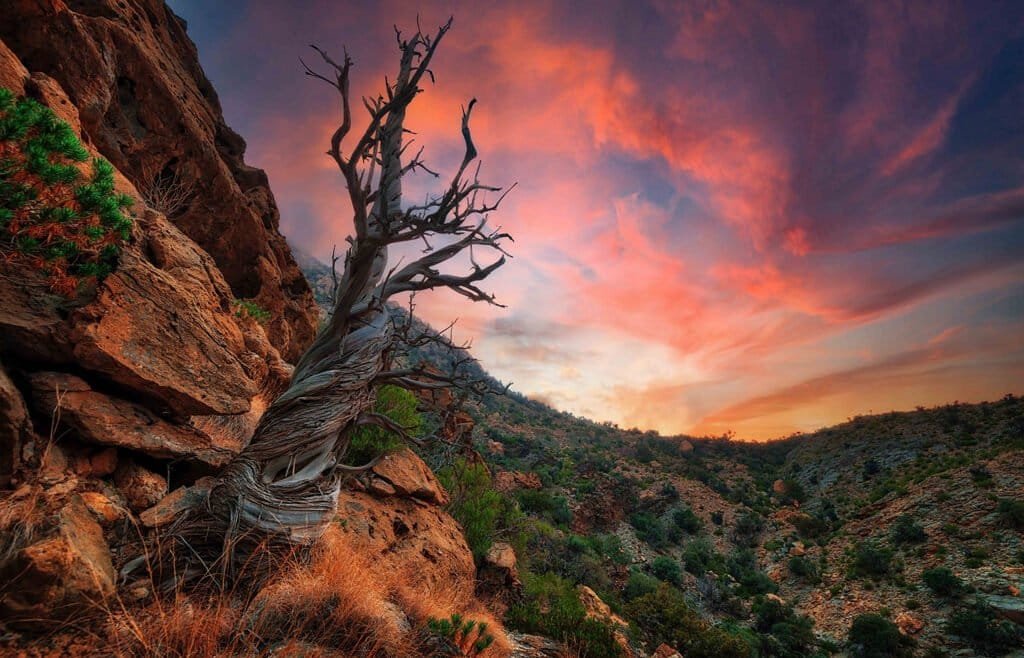 Scenic view of the Al Hajar Mountains with lush greenery and rocky terrain.