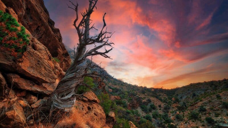 Scenic view of the Al Hajar Mountains with lush greenery and rocky terrain.