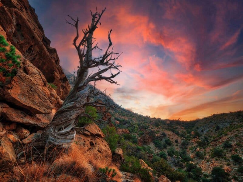 Scenic view of the Al Hajar Mountains with lush greenery and rocky terrain.