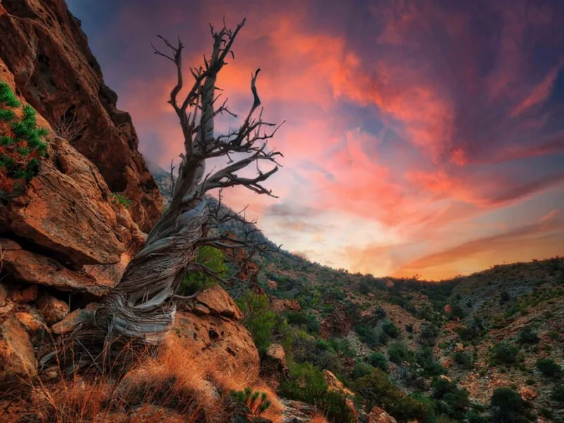 Scenic view of the Al Hajar Mountains with lush greenery and rocky terrain.